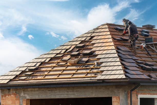 Best Roof Leak Repair  in Brownlee Park, MI