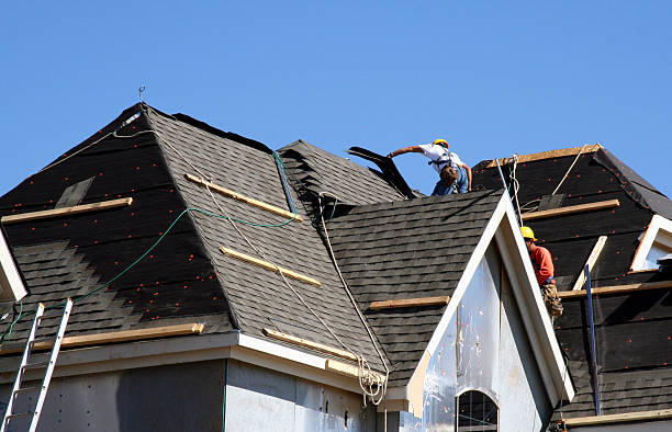 Best Gutter Installation and Repair  in Brownlee Park, MI