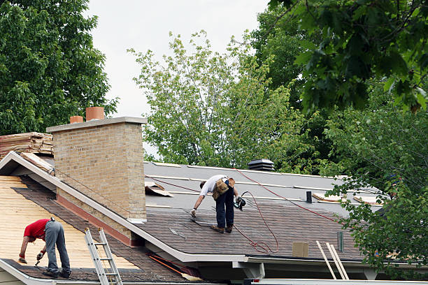 Best Emergency Roof Repair Services  in Brownlee Park, MI