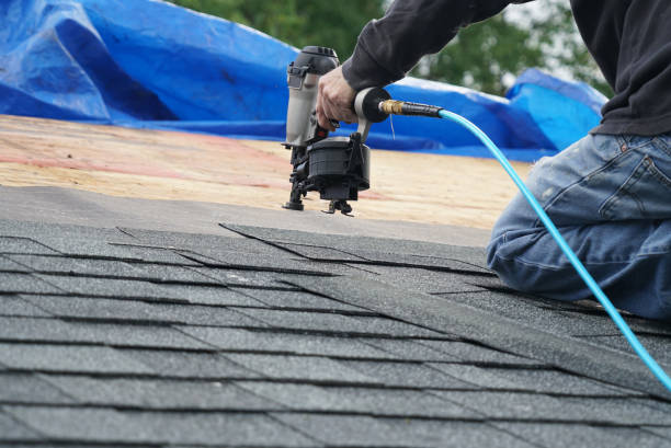 Best Roof Moss and Algae Removal  in Brownlee Park, MI