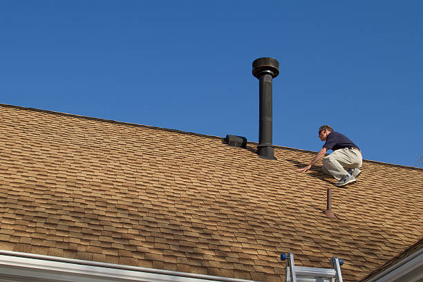 Best Roof Installation  in Brownlee Park, MI